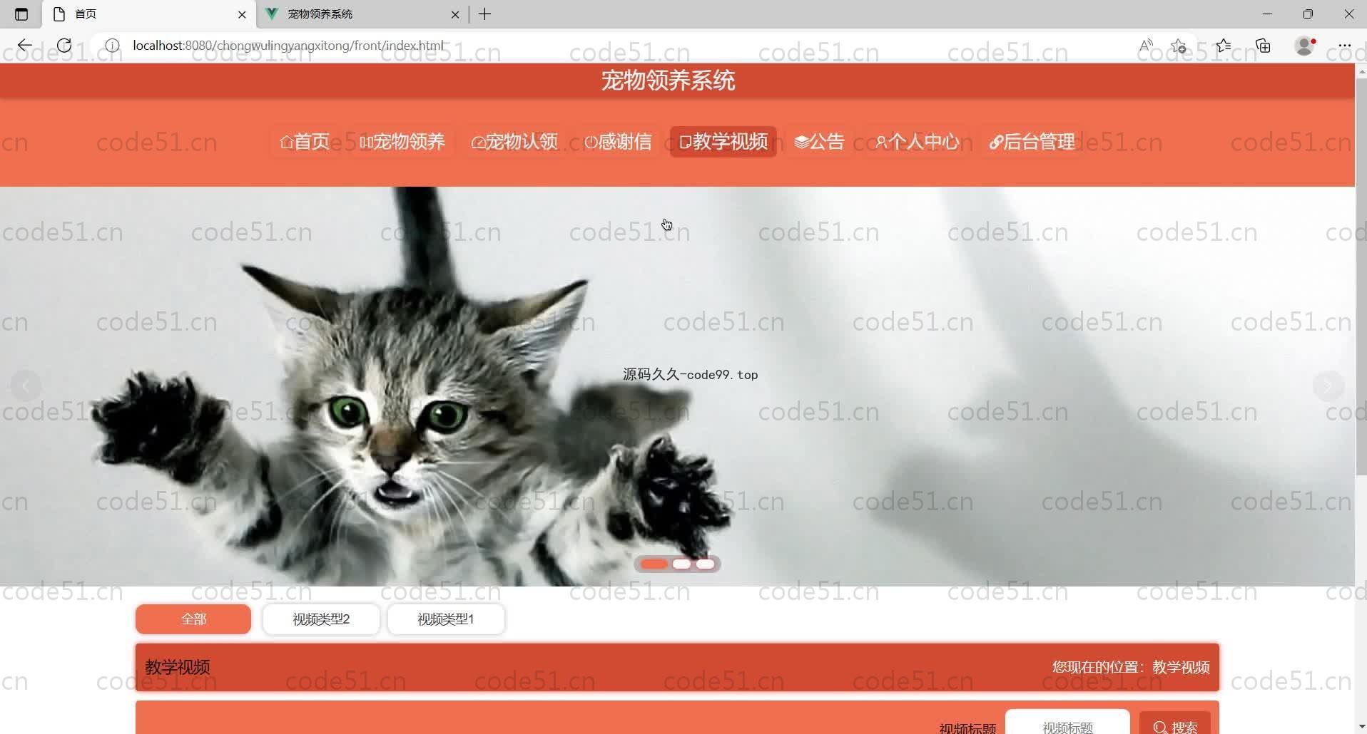 基于SpringBoot+MySQL+Vue的宠物领养系统(附论文)