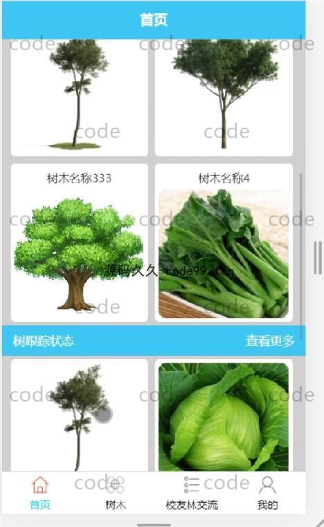 基于微信小程序+SSM+MySQL的校友林小程序(附论文)