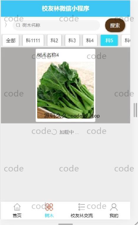 基于微信小程序+SSM+MySQL的校友林小程序(附论文)