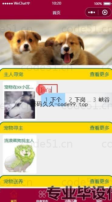 基于微信小程序+SpringBoot+MySQL的流浪动物救助微信小程序(附论文)
